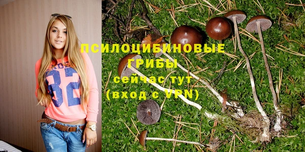 таблы Апатиты