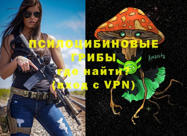 стаф Анива